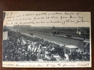 1907 Paddock Scene & Race Track, State Fair, Dallas, Texas TX d19