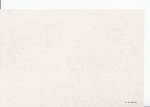 Spain Postcard - Cavas Codorniu - Wine Bottles    Y127