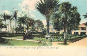 1911 Palm Beach Florida Promenade Hotel Royal Poinciana Postcard 26-425