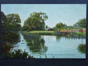 London WANDSWORTH COMMON The Rustic Bridge c1905 Postcard by S.S.