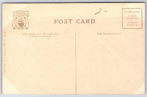 Springfield Illinois~New Leland Hotel~US Flag~Automobiles~c1910 Hammon Postcard