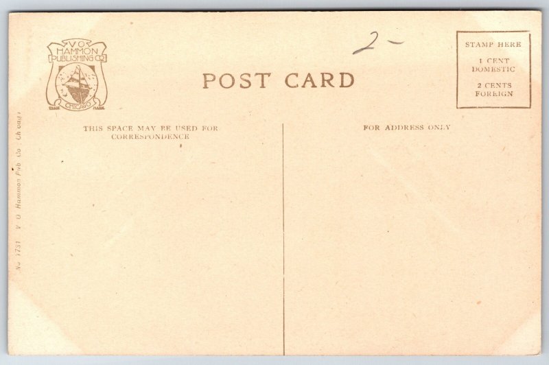 Springfield Illinois~New Leland Hotel~US Flag~Automobiles~c1910 Hammon Postcard