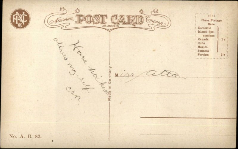 California Olive Farming Chinese Labor Man Picks Olives c1910 Postcard