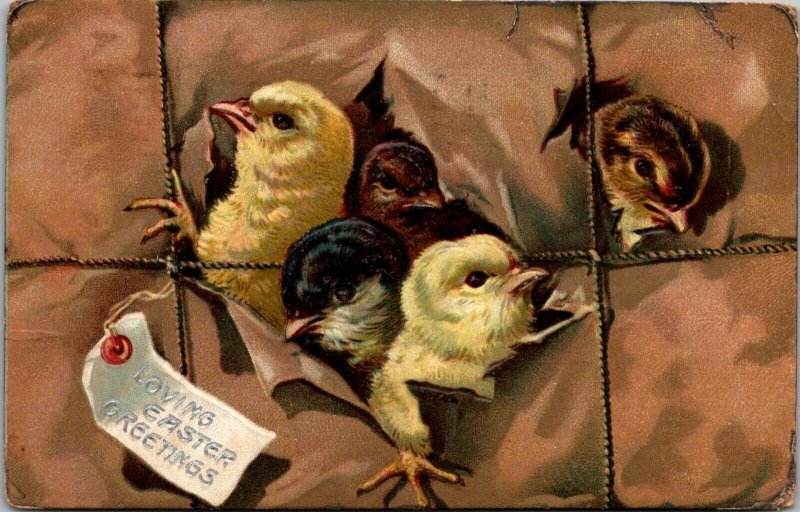 Loving Easter Greetings, Chicks in a Package Tucks 700 Vintage Postcard H13