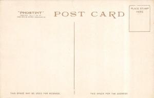 MONTECITO, California   GARDEN MAIN AXIS FROM CASINO   Phostint c1910s Postcard