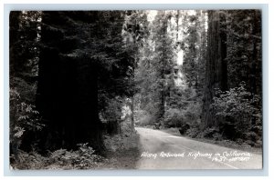 Vintage Artray Along Redwood Highway California RPPC Postcard F144E
