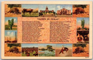 1943 Down In Texas Equal To Maine New York & Penna. 1890 Population Postcard