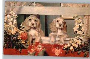 Postcard..We Miss You..Two Cute Cocker Spaniel Dogs