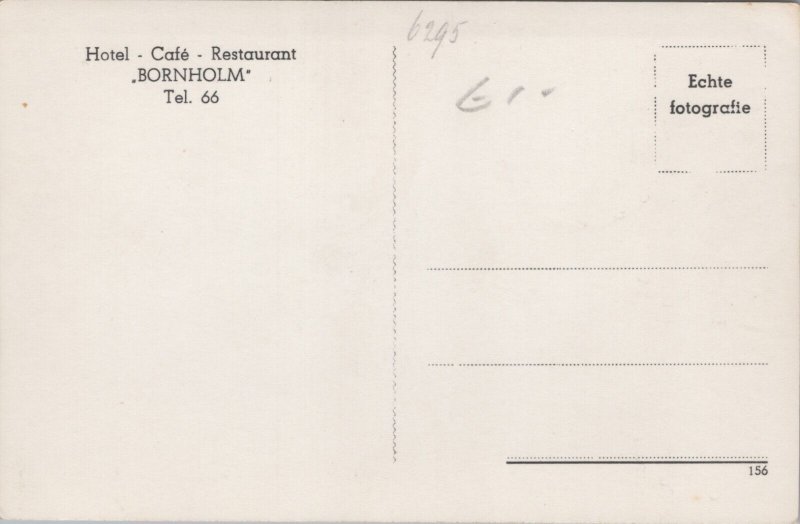 Netherlands Terschelling Bolholm Vintage RPPC C014