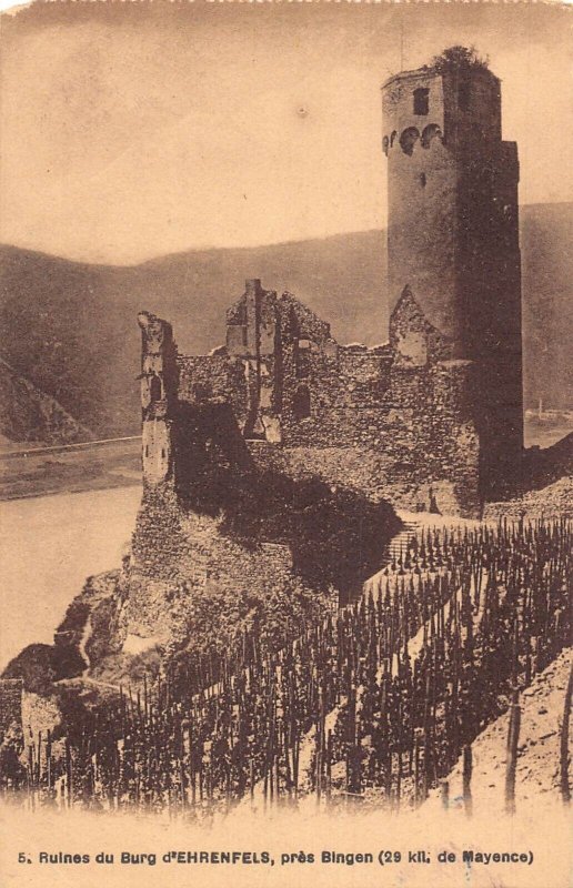 L181 Germany Ruins of Ehrenfels Castle Bingen vintage postcard