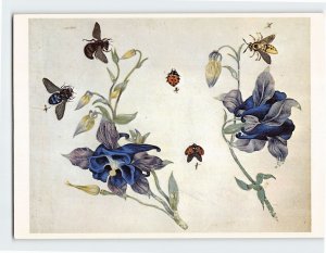 Postcard Columbine, Bees, and other Insects By J. Morgues, New York City, N. Y.