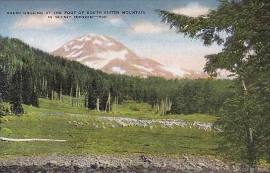 Oregon South Sister Mountain Sheep Grazing At The Foot Of Sheep Grazing At Th...