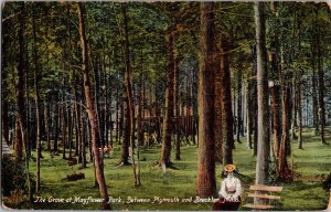 Grove at Mayflower Park Between Plymouth Band Brockton MA Vintage Postcard J77