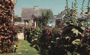 Vintage Postcard Old Fashioned Flower House Garden Provincetown Massachusetts MA