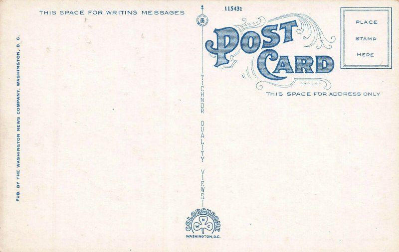 Pennsylvania Avenue, Washington, D.C., Early Postcard, Unused
