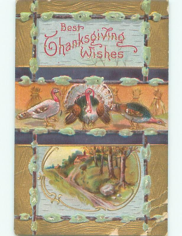 Divided-Back THANKSGIVING SCENE Great Postcard AA0708
