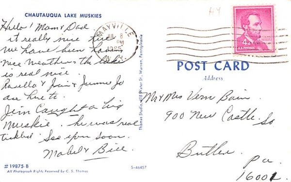 Chautauqua Lake Muskies New York Postcard