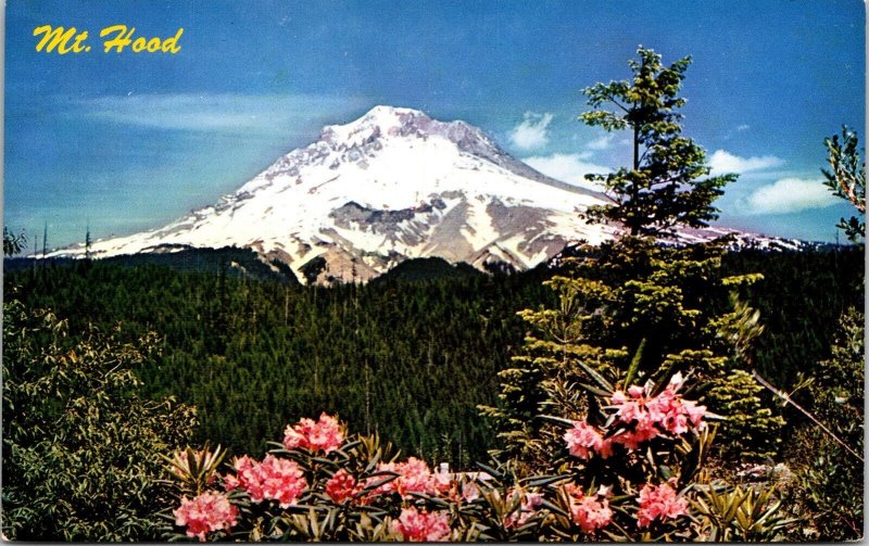 Snow Capped MT Hood Wild Rhododendrons Flower Bloomed Vintage Postcard Unposted