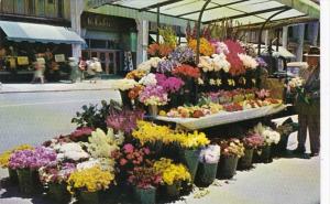 California San Francisco Sidewalk Flower Stands