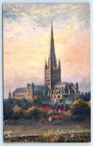 Tuck Oilette NORWICH CATHEDRAL, England UK~ Picturesque Norfolk 1910s Postcard