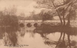 First Bridge in Homer NY New York Albany Street Bridge over Tioughnioga River DB