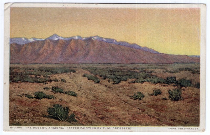 The Desert, Arizona - Fred Harvey