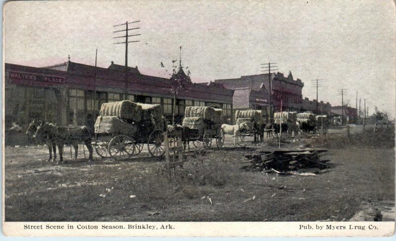 BRINKLEY, AR Arkansas  Street Scene  WAGONS Loaded with COTTON  c1910s  Postcard