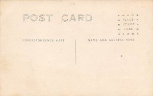 Black and White Photo Cow Postcard