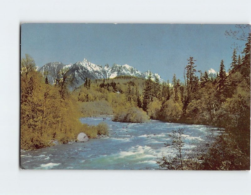 Postcard Skyhomish River, Washington