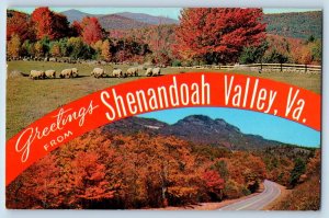 Virginia Postcard Greeting Shenandoah Valley Autumn Farm Scene Dual View c1970