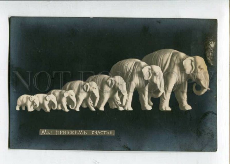 3129356 RUSSIA Happy ELEPHANT Figures Vintage PHOTO PC
