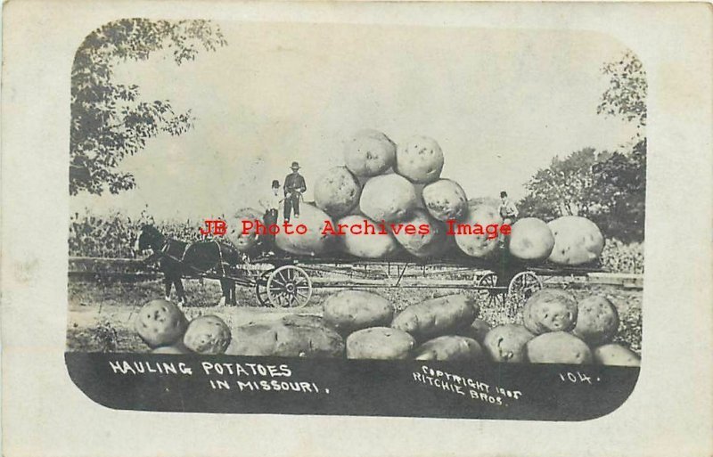 Exaggeration, RPPC, Ritchie Bros No 104, Farmer Hauling Potatoes in Missouri