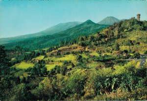 Indonesia Poentjak Pass West Java Vintage Postcard BS.08