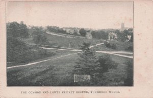 Tunbridge Wells Cricket Ground Kent Antique Postcard