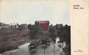 F6/ Chester Iowa Postcard c1910 Old Mill Building Cows
