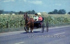 The Amish courting buggy - Dutch Country, Pennsylvania