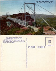 Mile High Swinging Bridge, Grandfather Mountain, N.C. (17288