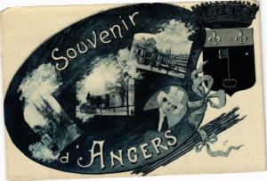 CPA Souvenir d'ANGERS (189805)