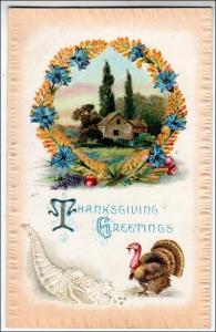 Greeting - Thanksgiving, Scene & Turkey