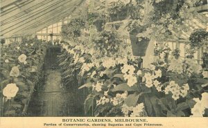 Australia C-1910 Melbourne Botanical Gardens Postcard 22-1800