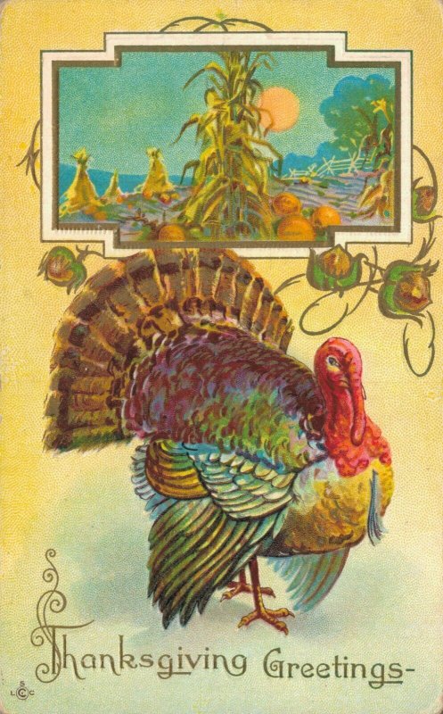 Thanksgiving Greetings Embossed Turkey  06.14