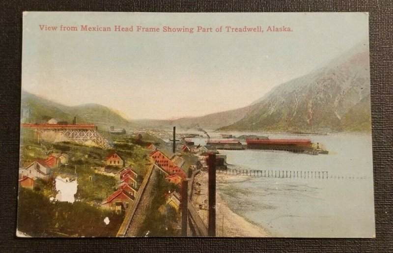 Mint Vintage Hand Colored Postcard Treadwell Alaska