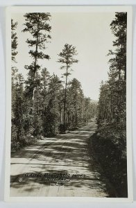 South Dakota, A Drive Through The Pines, Rppc Rise Studio Real Photo Postcard O7