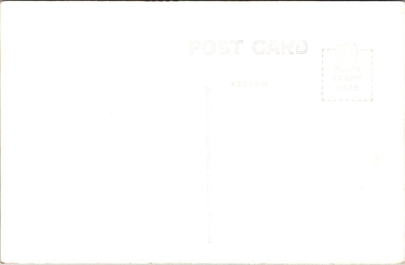RPPC, Deer In the Velvet, Greetings from Lewiston MI Vintage Postcard Q49