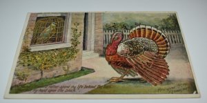 Parrot and Turkey Thanksgiving Humor Postcard 1907 F. C. Lounsbury 2022-2