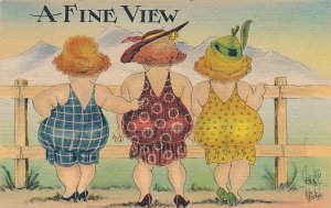 A Fine View - Comic Humor - Ladies Back Side - pm 1942 Linen - a/s but illegible