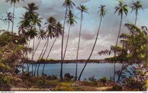 RP; NEGOMBO, Ceylon, PU-1962; Lagoon Scene