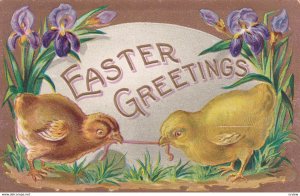 EASTER, 1900-10s; Greetings, Chicks tug-o-war with worm, Iris Flowers, Gold b...