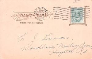 Bear Post Card Old Vintage Antique 1908