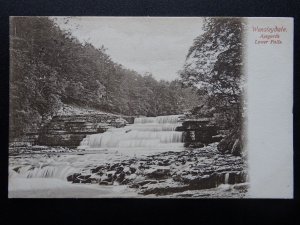 Yorkshire WENSLEYDALE Aysgarth Lower Falls c1908 Postcard